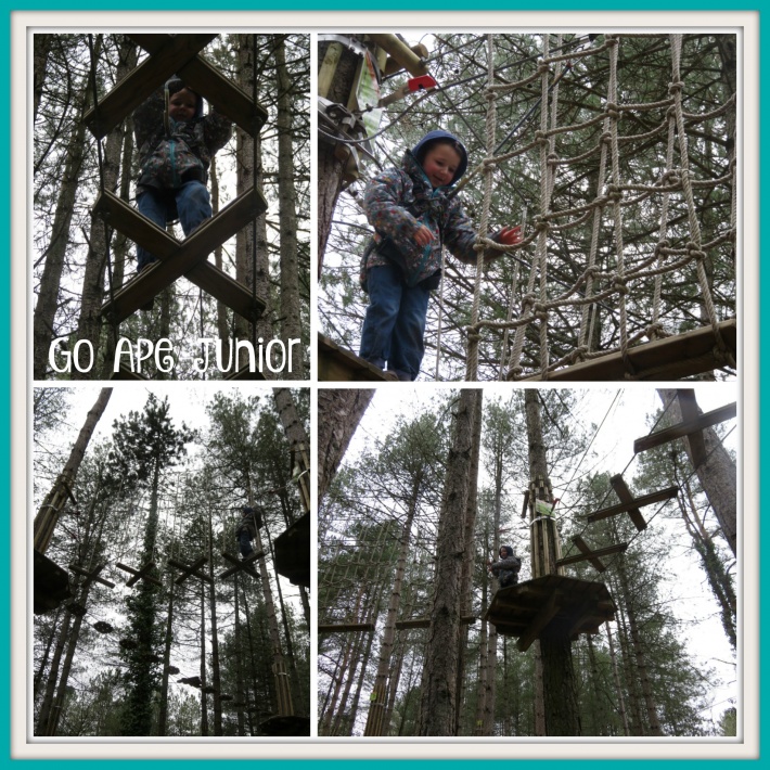 Go Ape Junior 