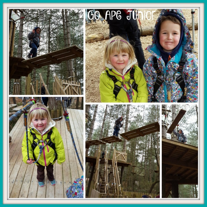 Go Ape Junior