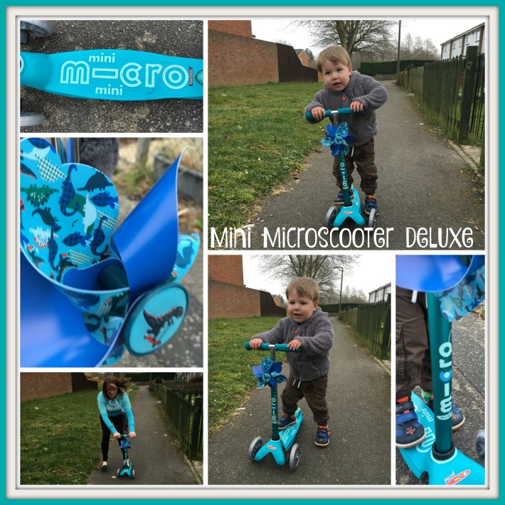 Mini Microscooter Deluxe