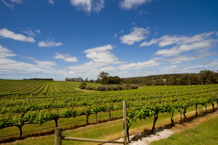 Margaret's River