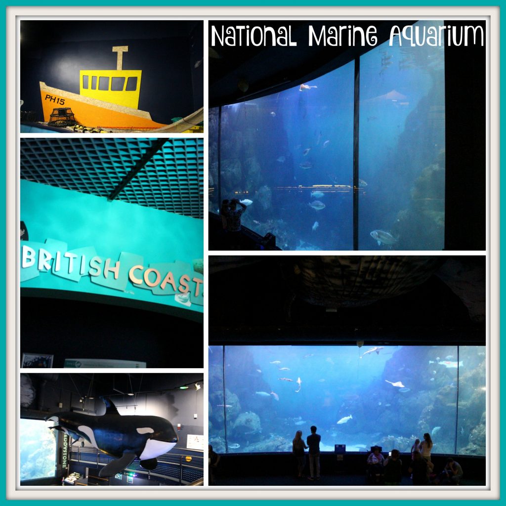 National Marine Aquarium 