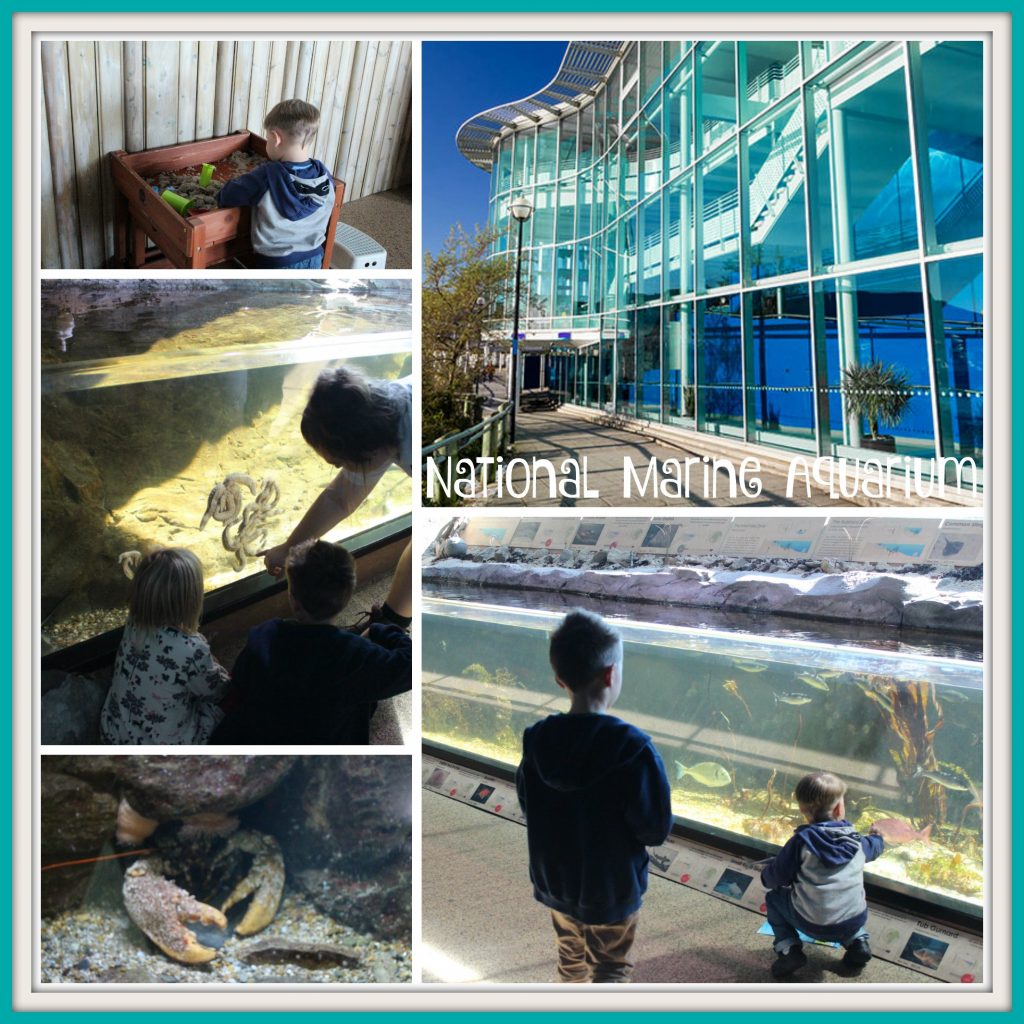 national-marine-aquarium