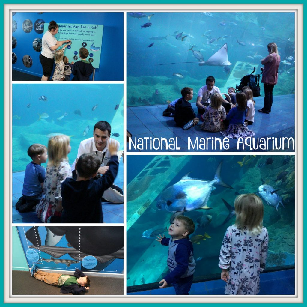 National Marine Aquarium