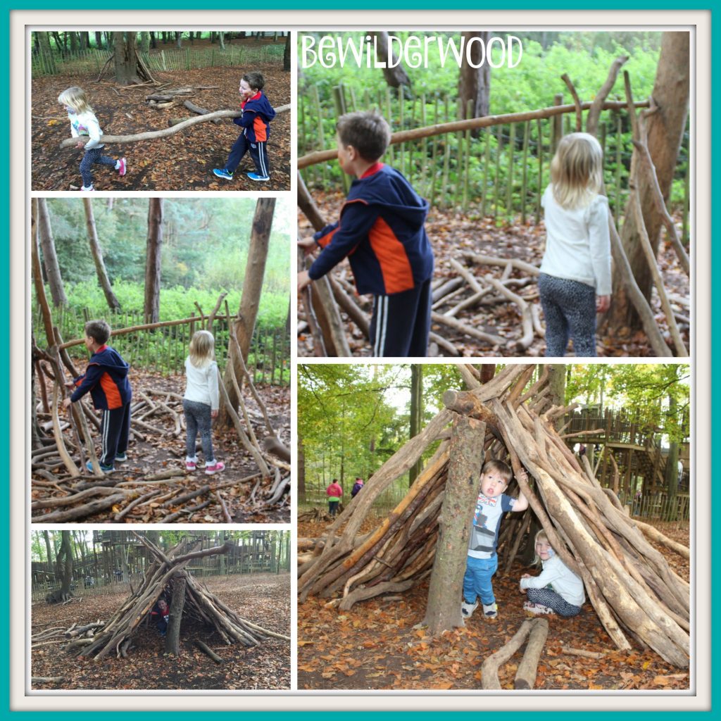 Bewilderwood