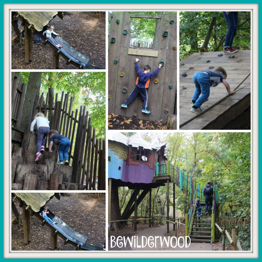 bewilderwood-