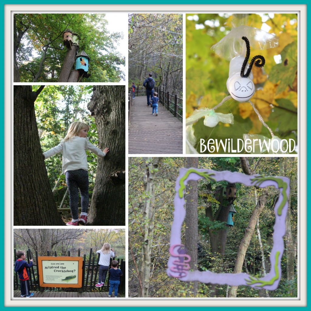 bewilderwood