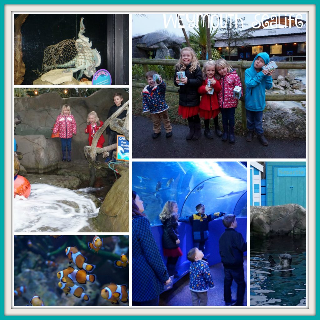 weymouth-sealife-