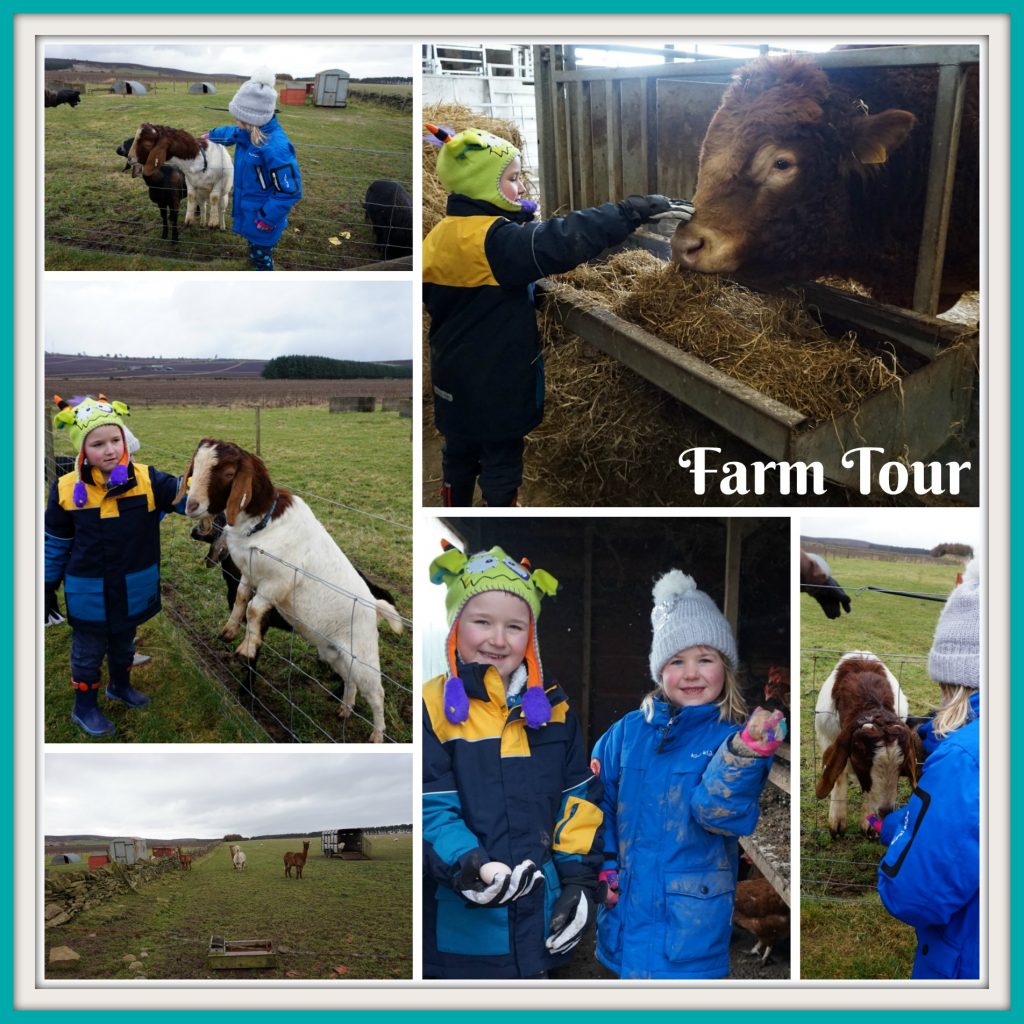 Farm Tour - Newton Farm