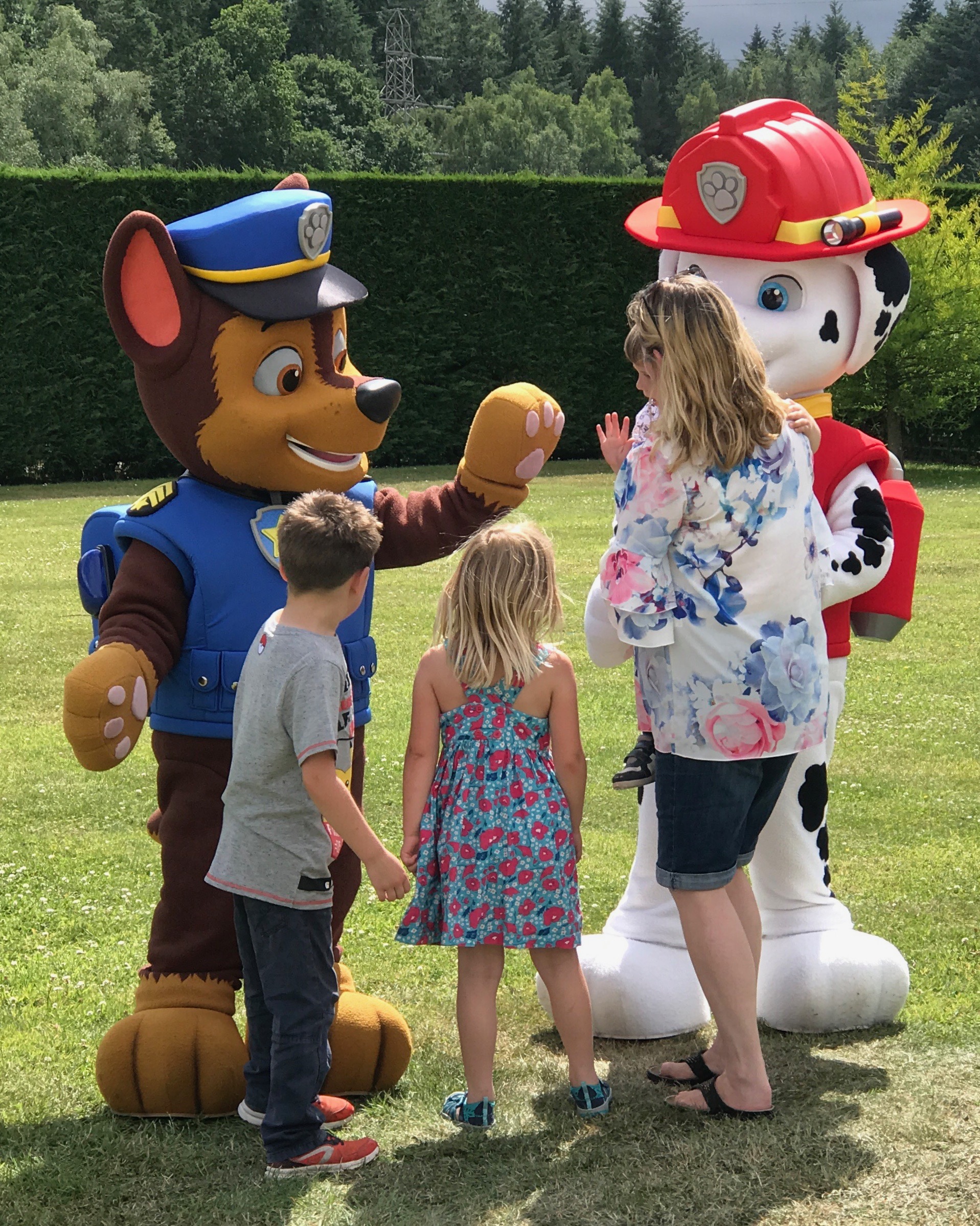 paw patrol chase marshall skye