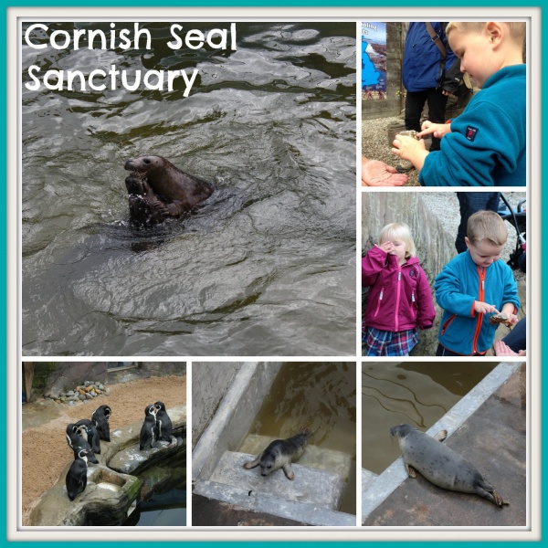 Cornish Seal Sanctuary