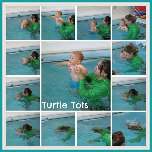 Turtle Tots
