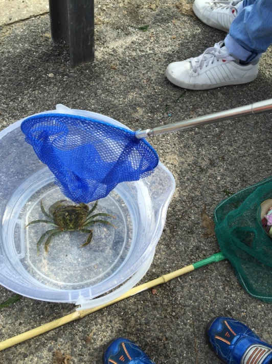 Crabbing