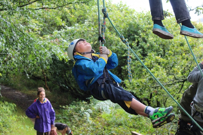 Tree Climbing