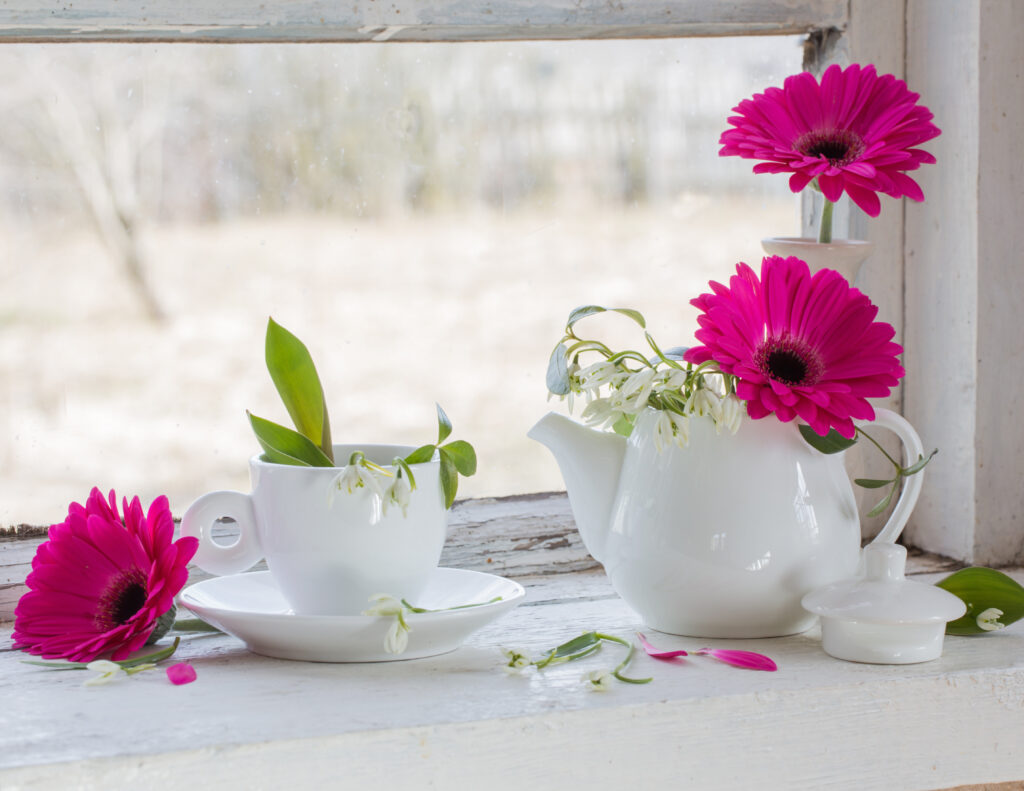 Pink Gerbera's