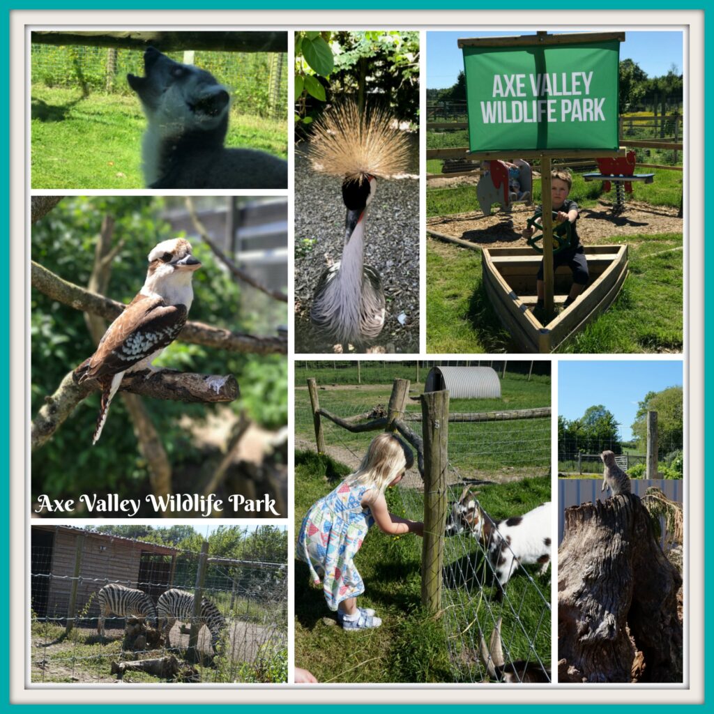 Axe Valley Wildlife Park