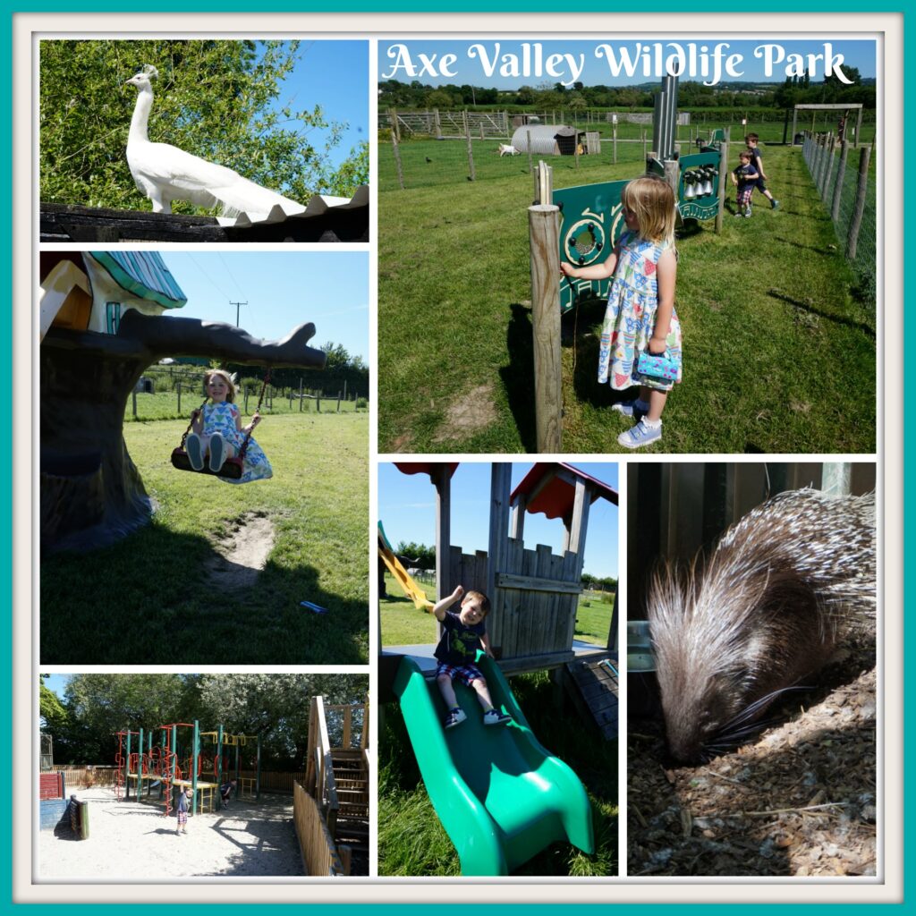 Axe Valley Wildlife Park Devon