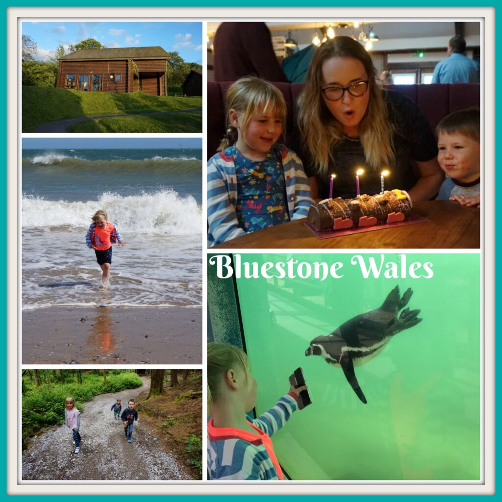 Bluestone Wales