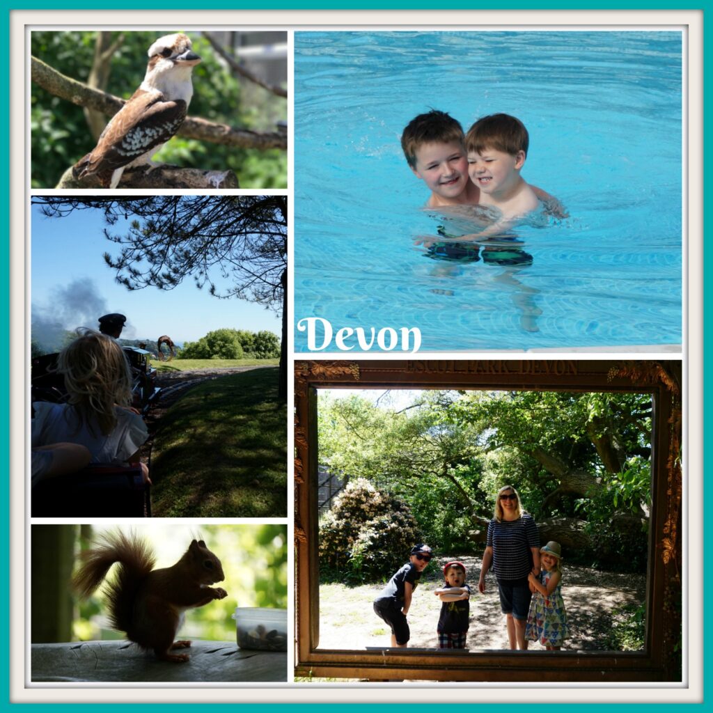 Devon