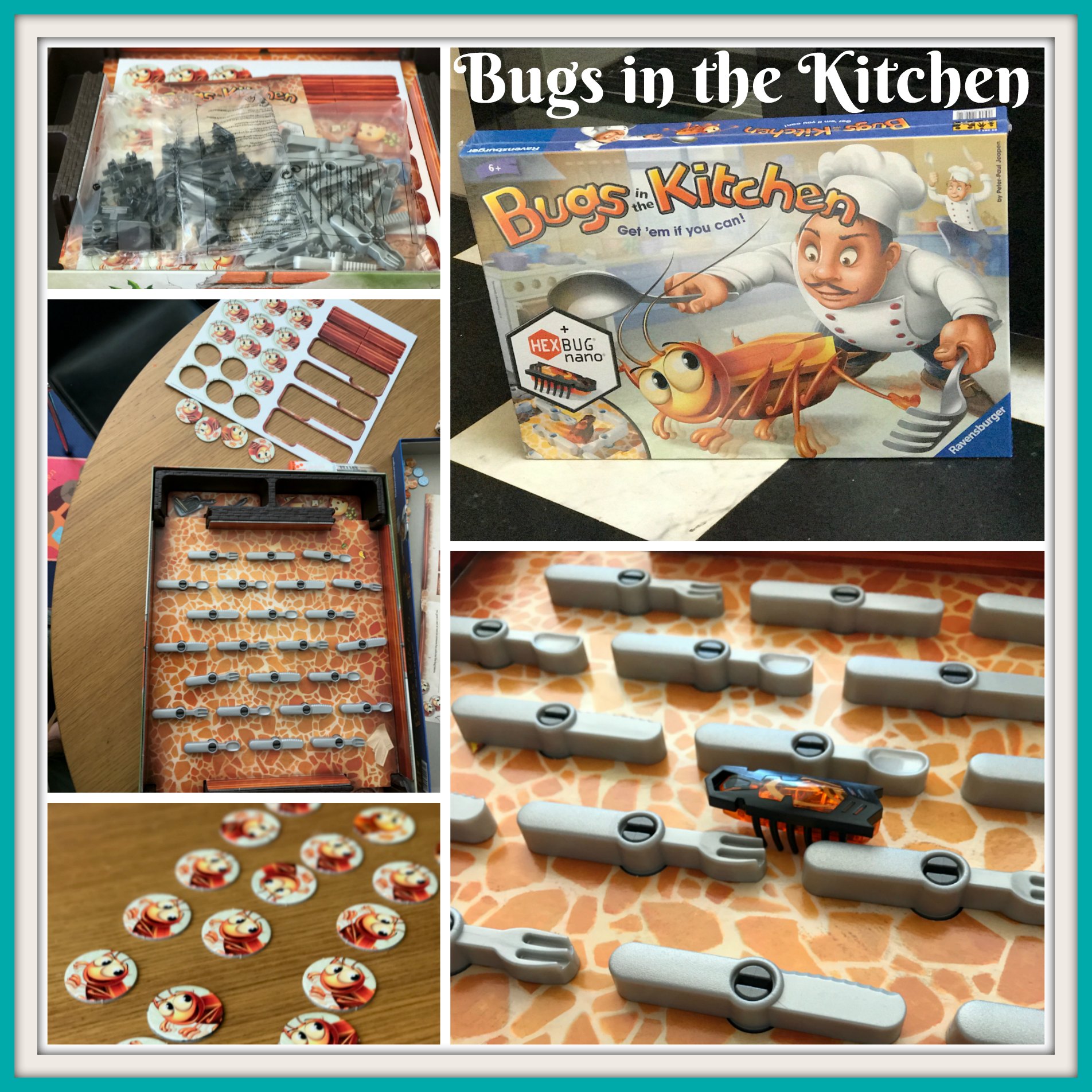 Bugs In The Kitchen 1 