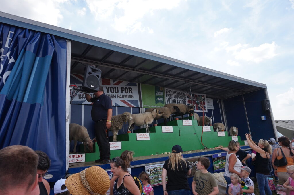 Great Dorset Steam Fair