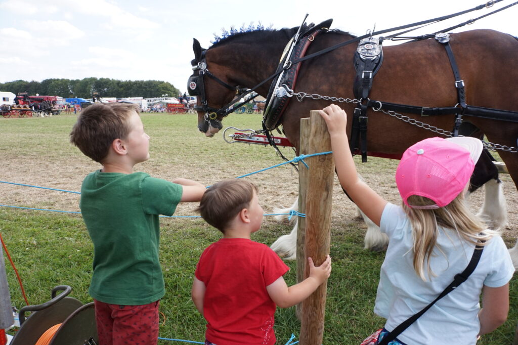 Great Dorset Steam Fair