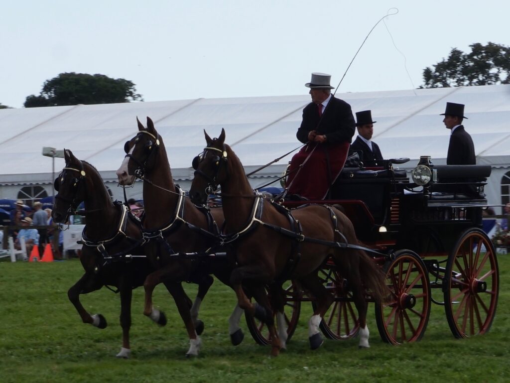 Dorset County Show 