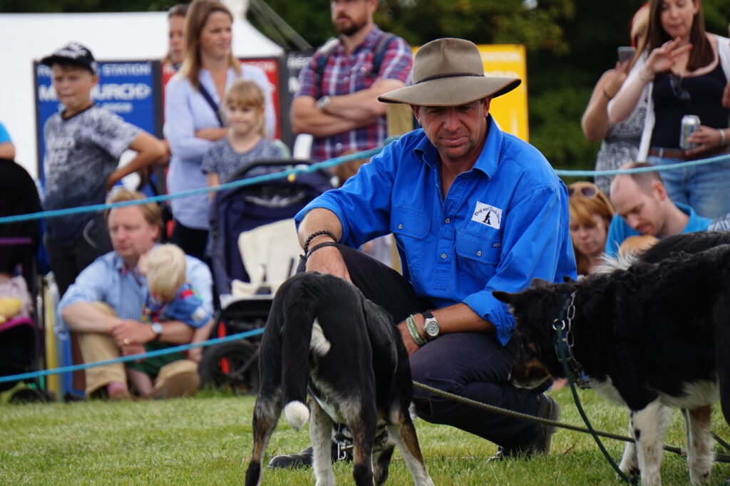 Dorset County Show