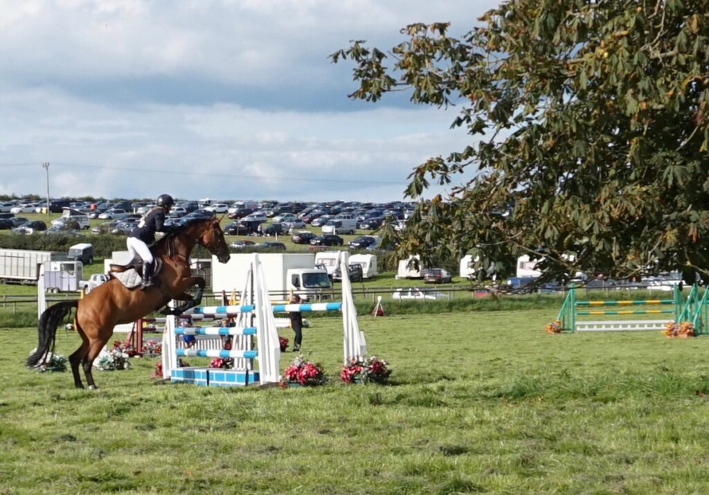 Dorset County Show 