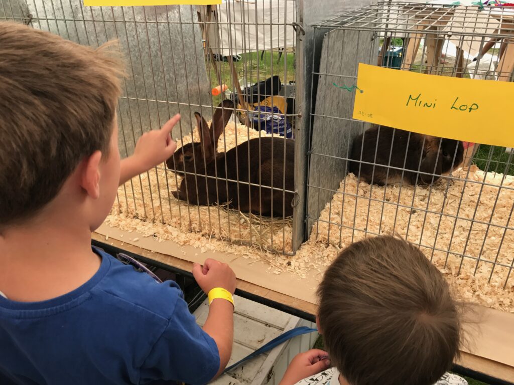 Dorset County Show