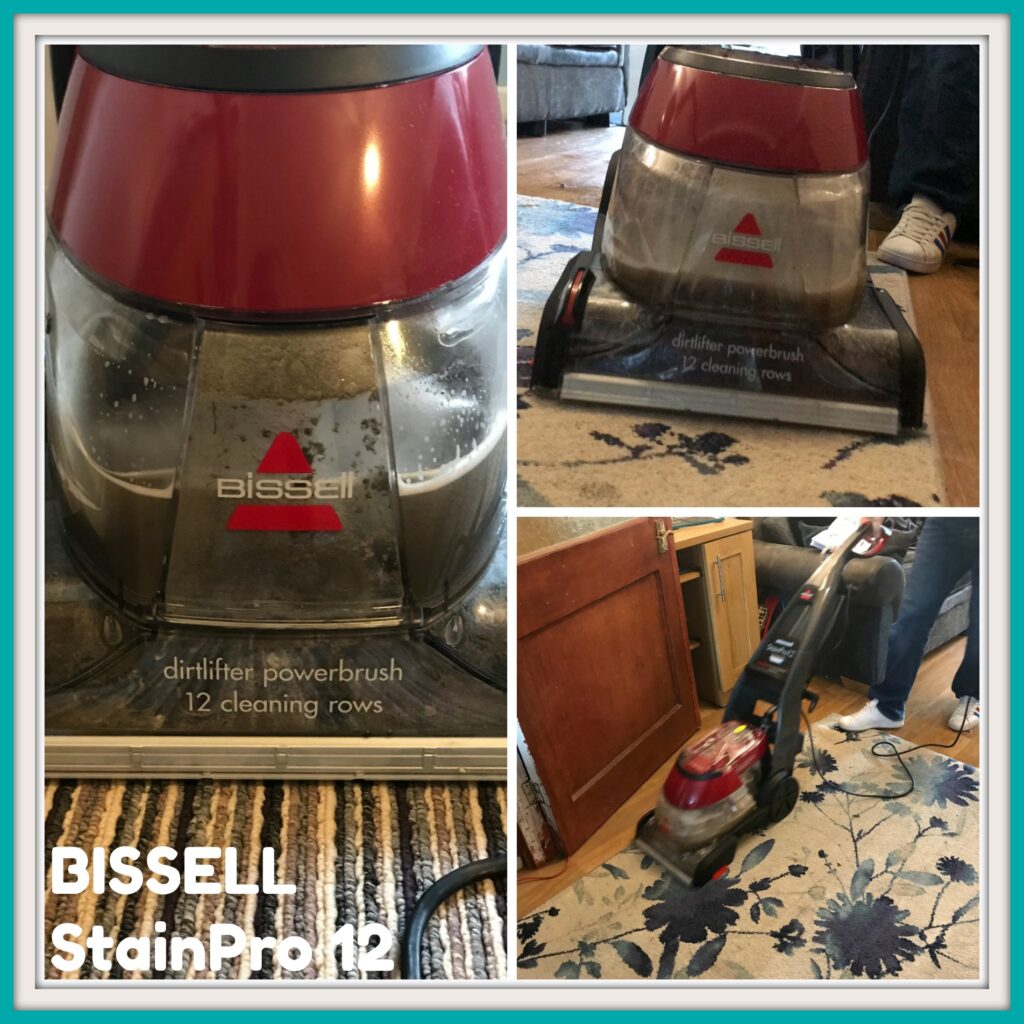 BISSELL Stain Pro 12