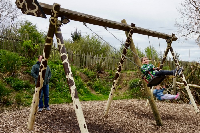 Giraffe Swing