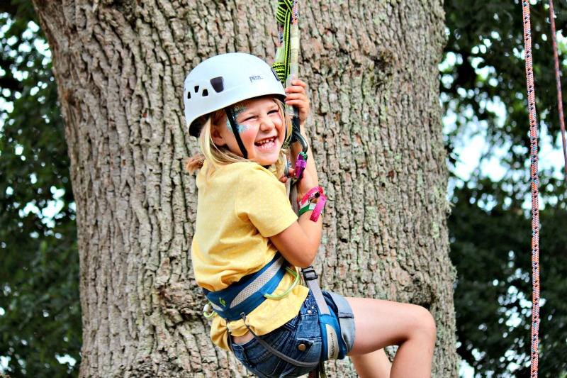 Big Tree Climbing Co