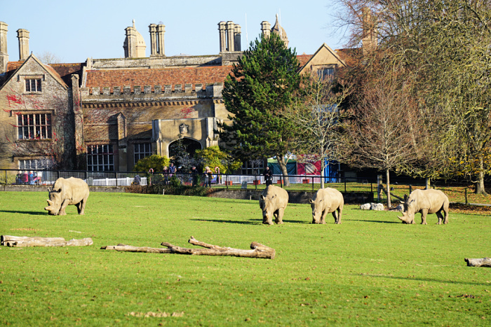 Marwell Hall