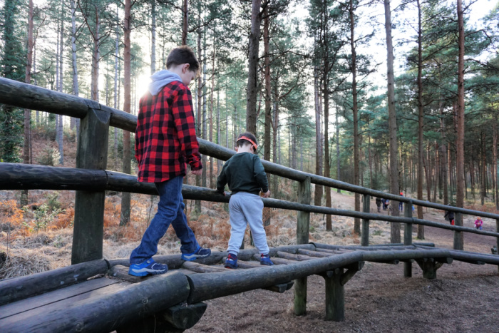 Play Trail Moors Valley (1)