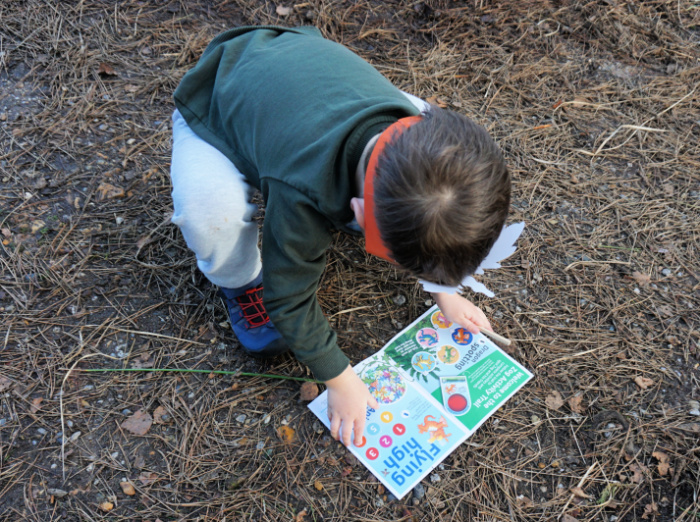 Zog Trail Moors Valley