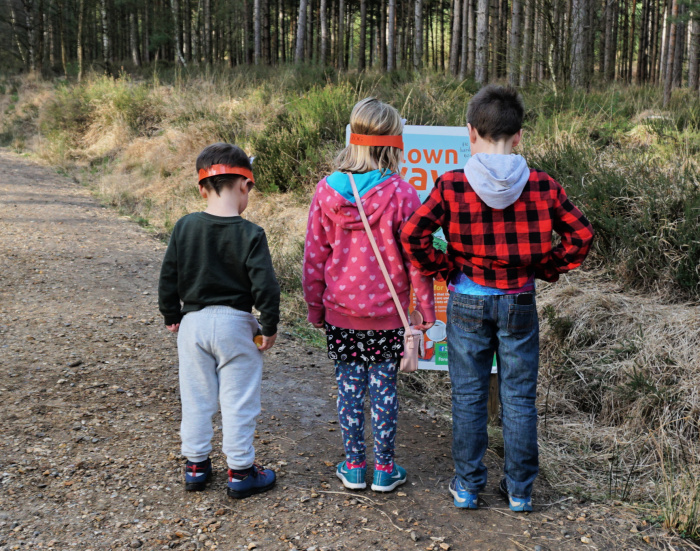 Zog Trail Moors Valley