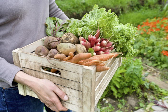 vegetables