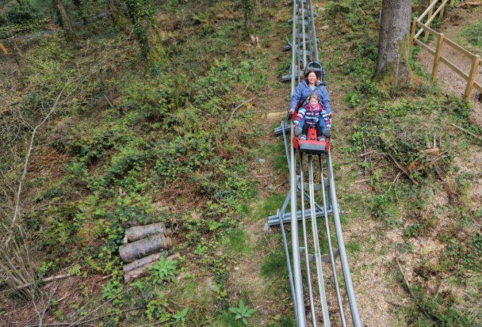 A spring time visit to Zip World Fforest chelseamamma