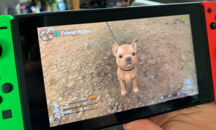 Little Friends: Dogs & Cats for the Nintendo Switch - Review, pet games  nintendo switch 