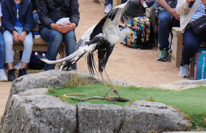 Puy Du Fou