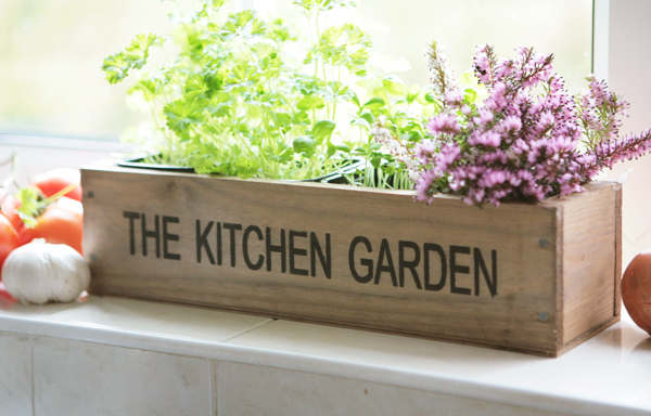 Kitchen Garden