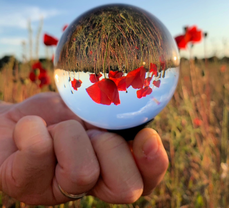 Poppy lensball